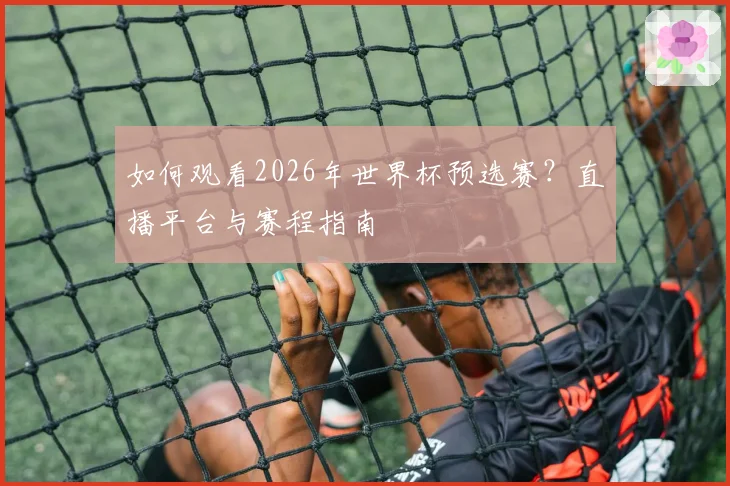 如何观看2026年世界杯预选赛？直播平台与赛程指南