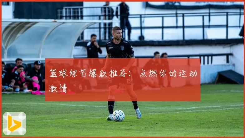 篮球综艺爆款推荐：点燃你的运动激情