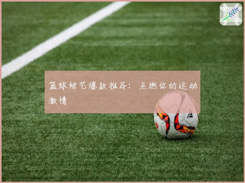 篮球综艺爆款推荐：点燃你的运动激情