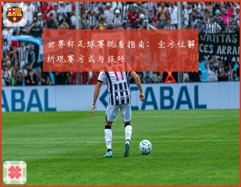 世界杯足球赛观看指南：全方位解析观赛方式与技巧
