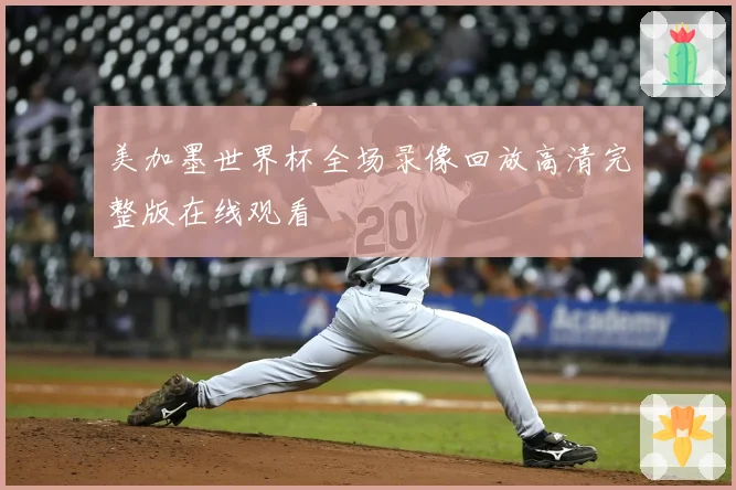 美加墨世界杯全场录像回放高清完整版在线观看