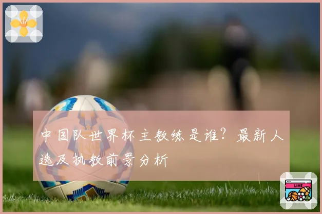 中国队世界杯主教练是谁？最新人选及执教前景分析
