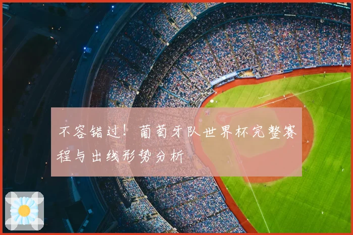 不容错过！葡萄牙队世界杯完整赛程与出线形势分析