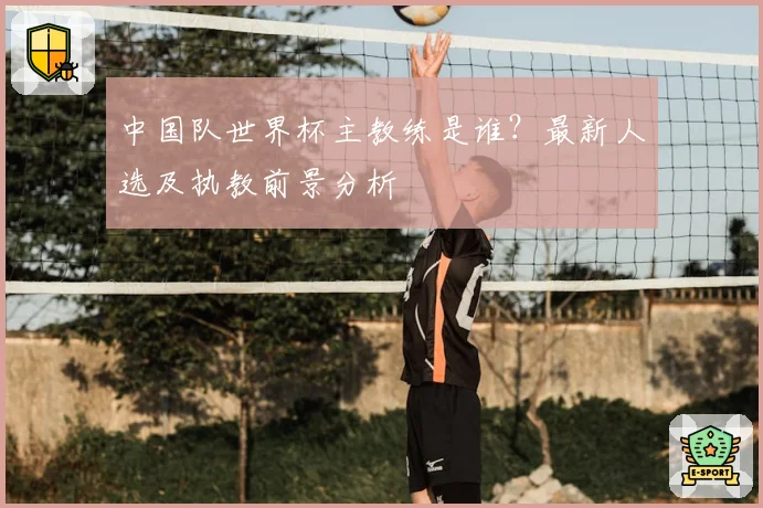中国队世界杯主教练是谁？最新人选及执教前景分析