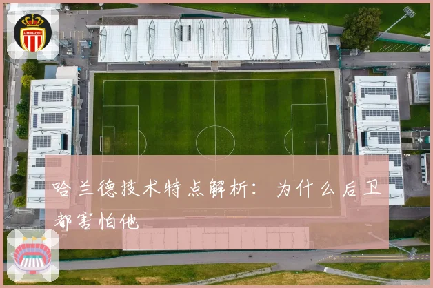 哈兰德技术特点解析：为什么后卫都害怕他