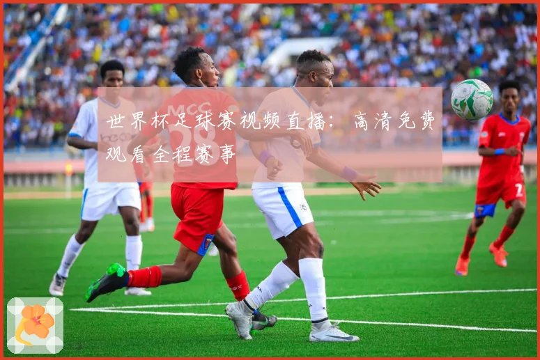 世界杯足球赛视频直播：高清免费观看全程赛事