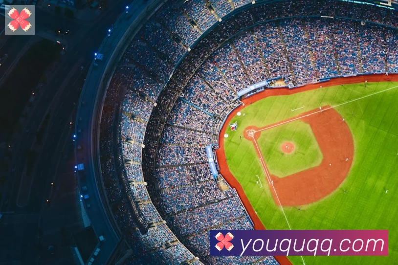 开云kaiyun官网平台生态图