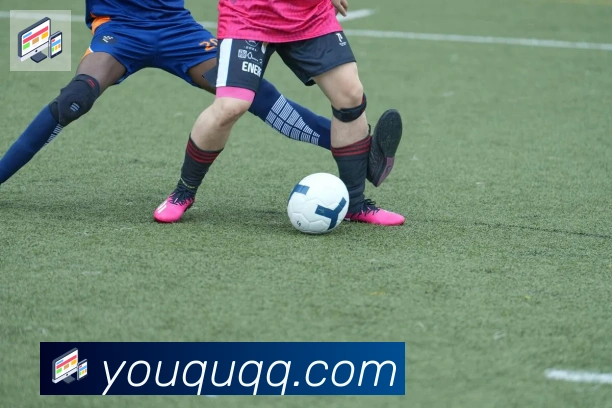 开云kaiyun官网APP 封面图